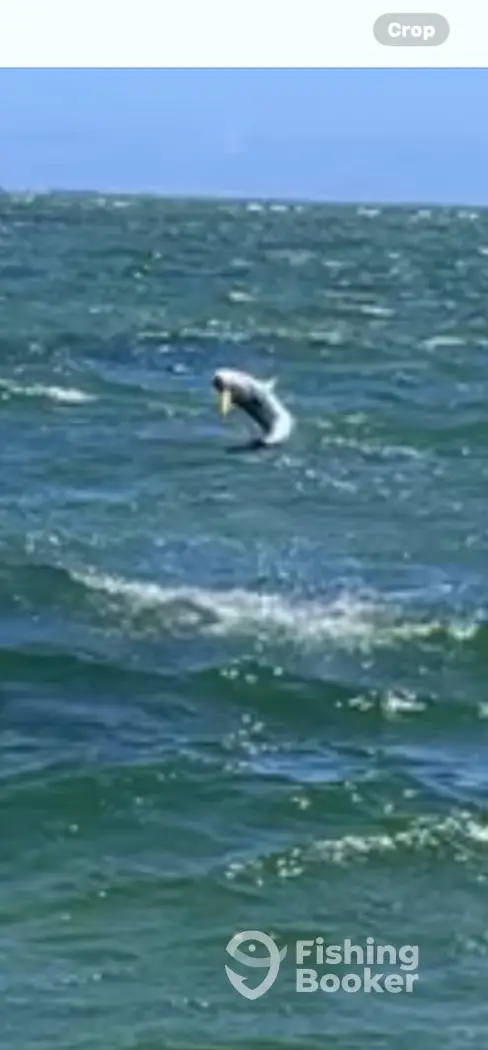 Catch1 charter image 3