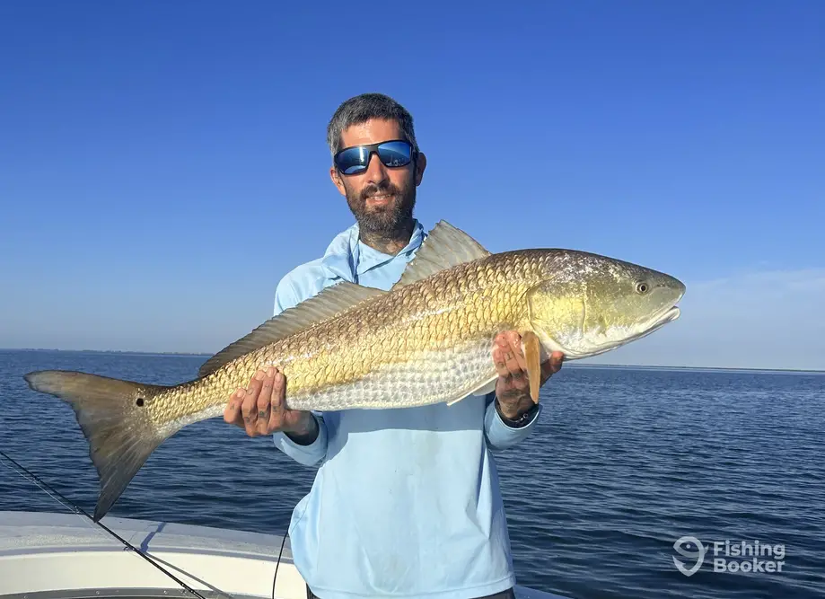 Max’s Boating Adventures