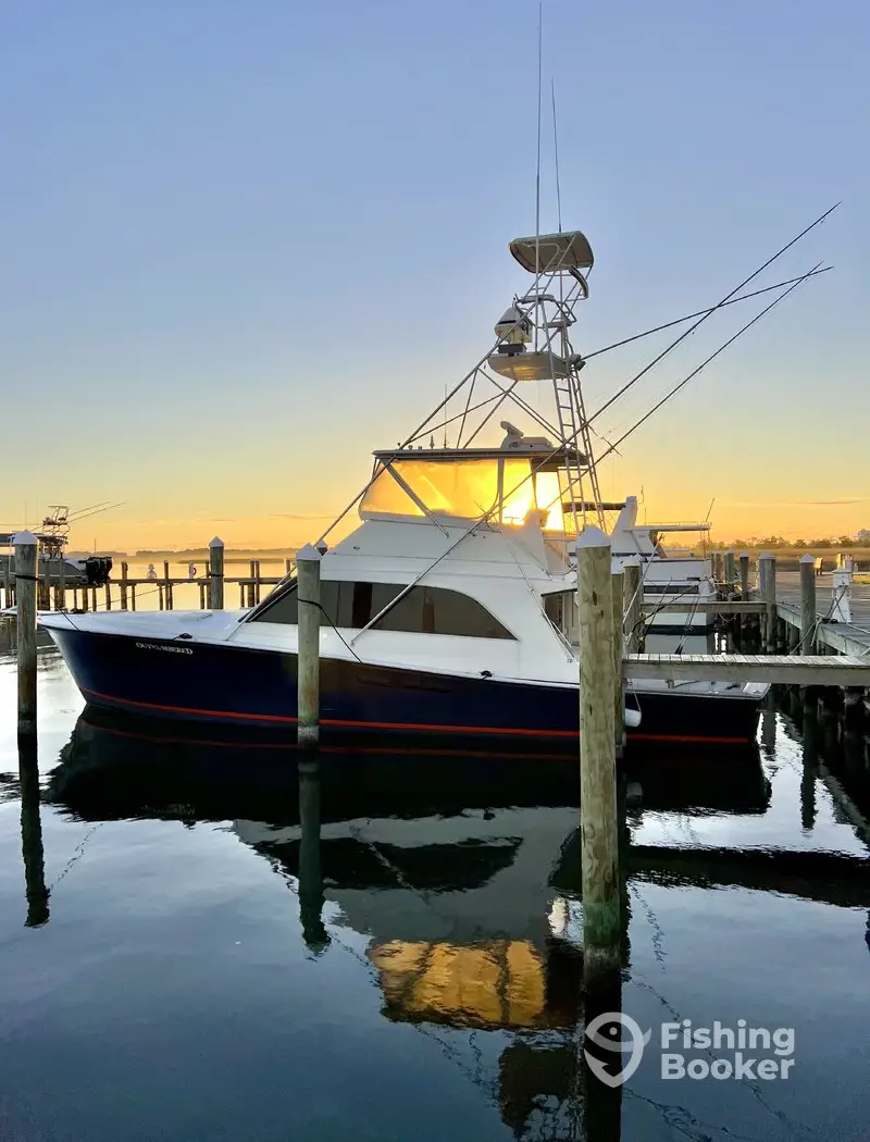 Stonestreet Sportfishing charter image 2