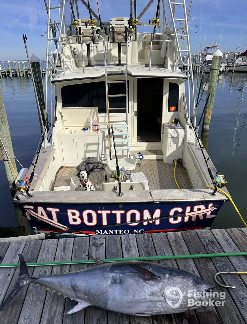 Stonestreet Sportfishing charter image 5