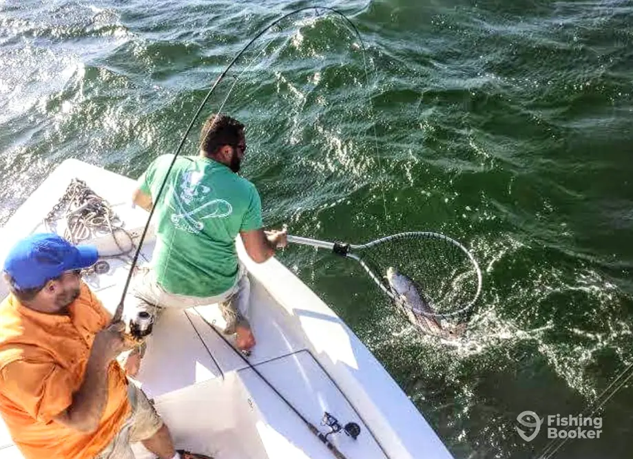 charter image 5