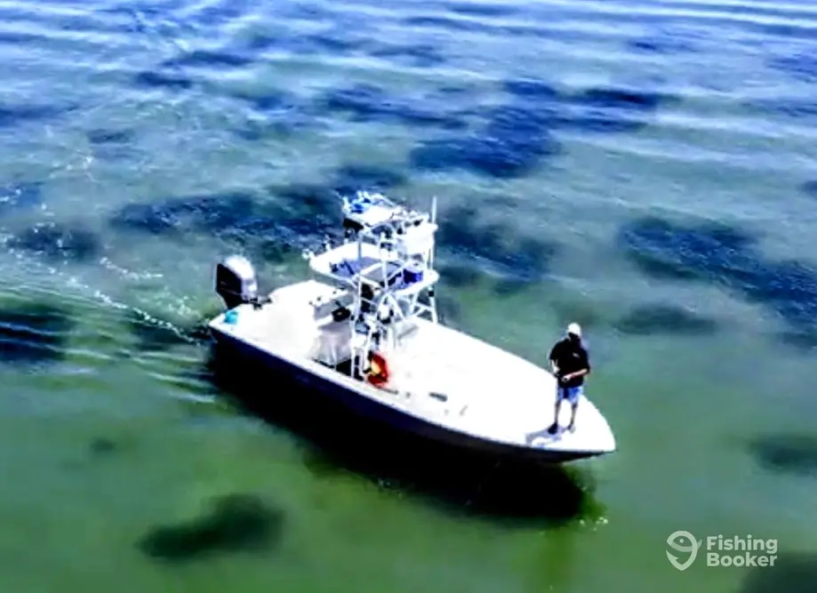 charter image 6