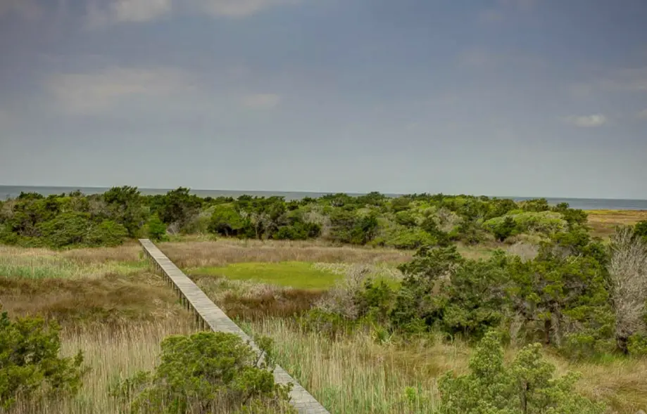 Pamlico Pathway 962