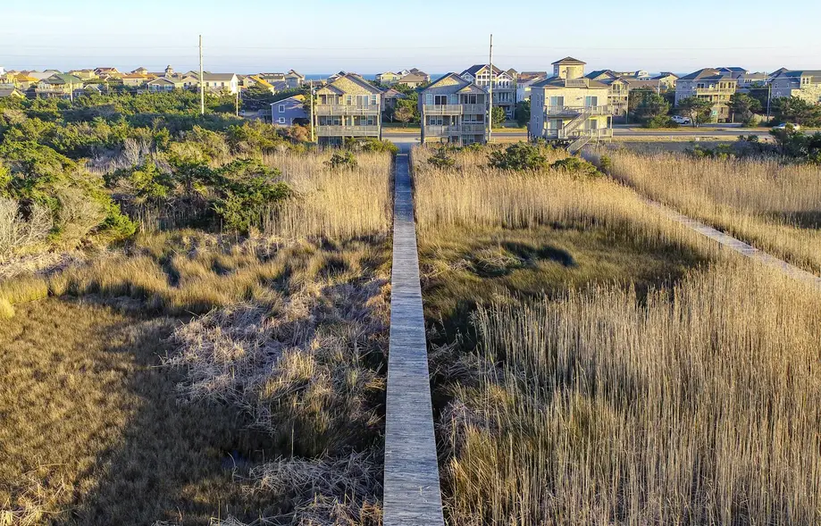 Pamlico Pathway 962