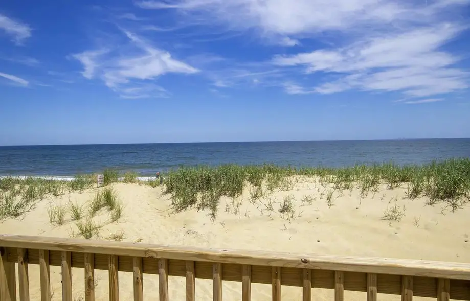 All Sandy