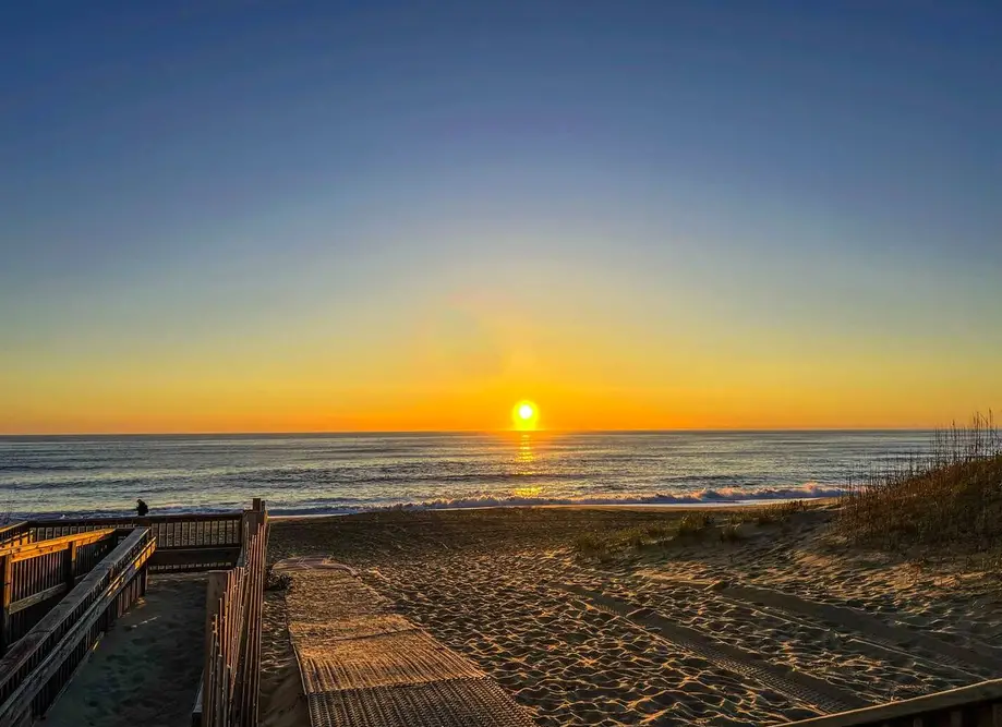 Loggerhead Landing