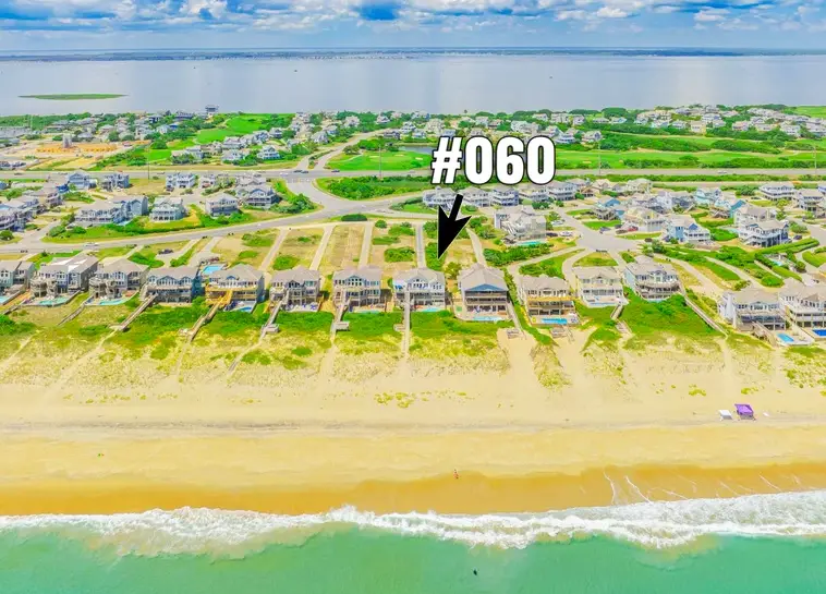 060 | Sassy Seagull