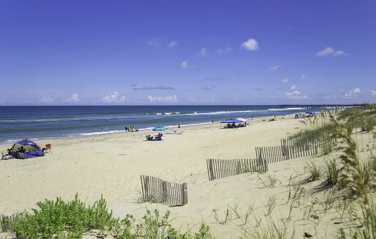 316 | Beach Life