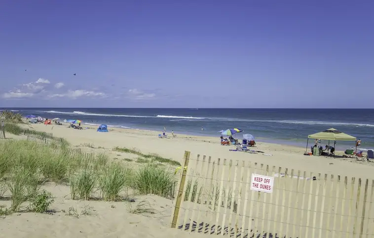 316 | Beach Life