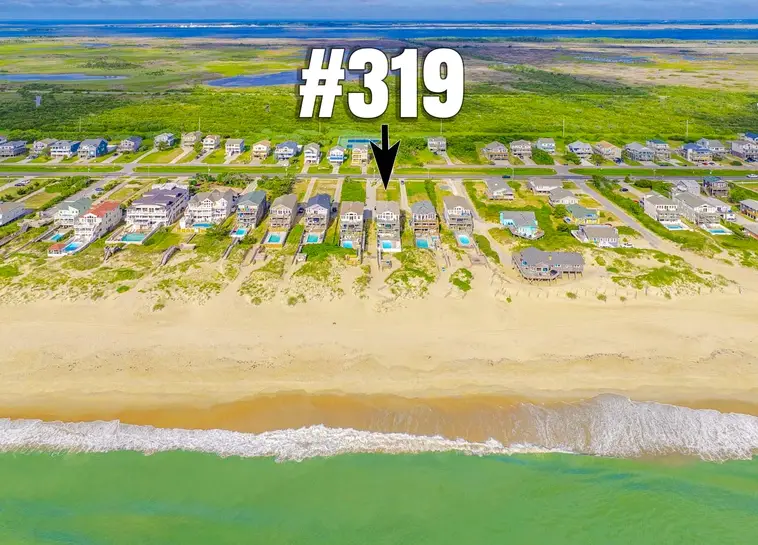 319 | Sand Dollar