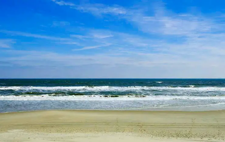 rental image 5