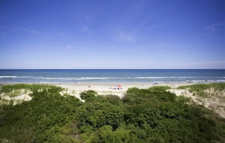 BEACH THERAPY