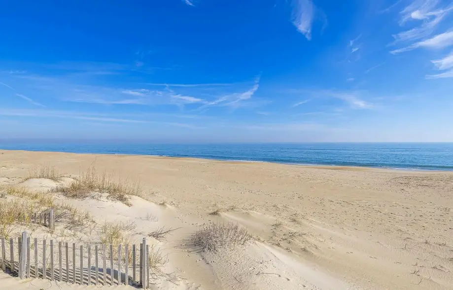 Pinstripe Paradise
