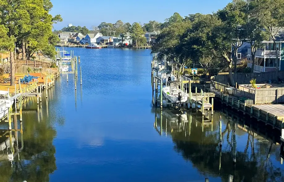 The Sweet Pelican