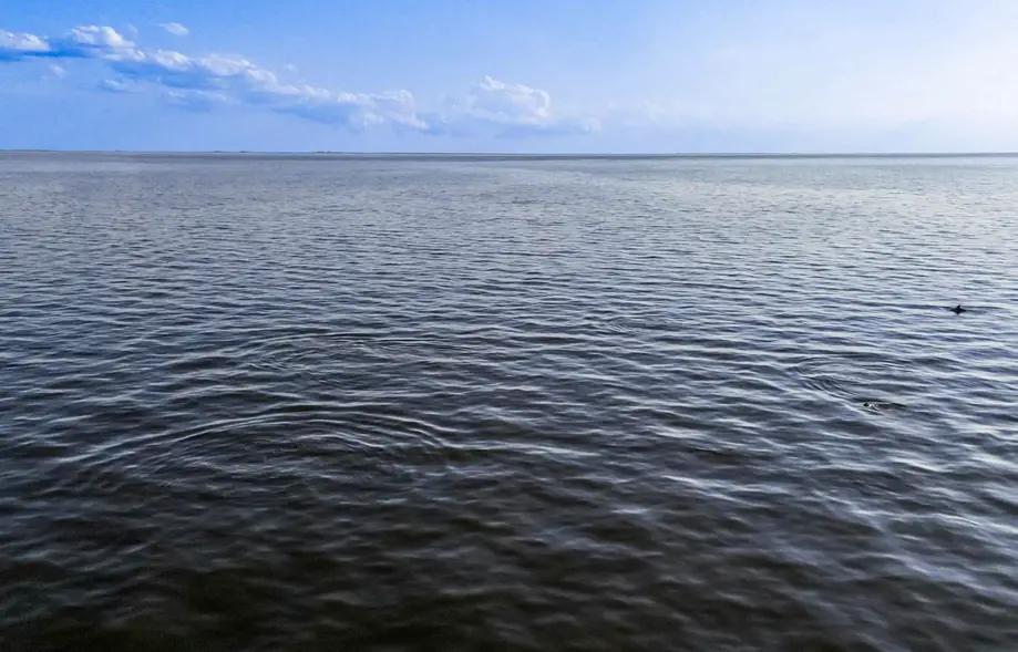 Magnolia Sound KH142