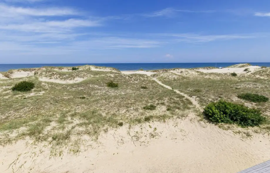 Blue Dune