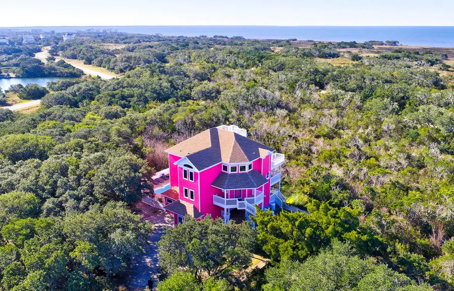 The Pink Flamingo