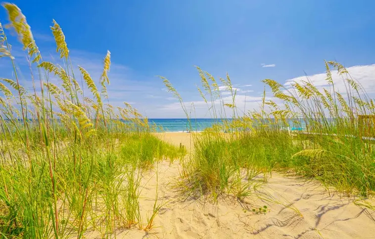 885 | Coleman's Beach Front Inn