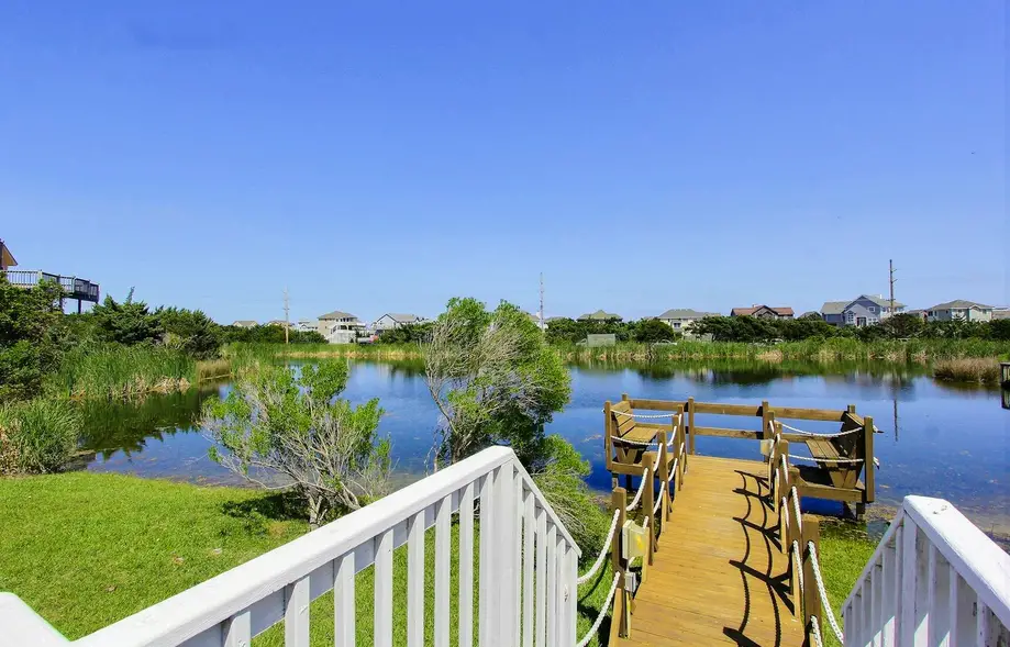 Carolina Sunshine #34-6