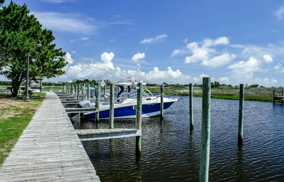 Sandy Cheeks  #D2SC-H