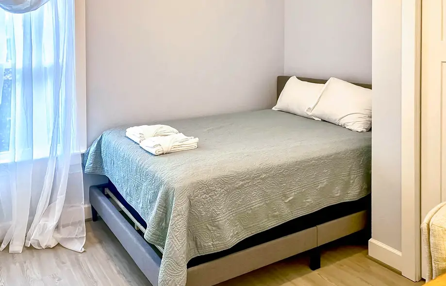 The Green Turtle and the Nest