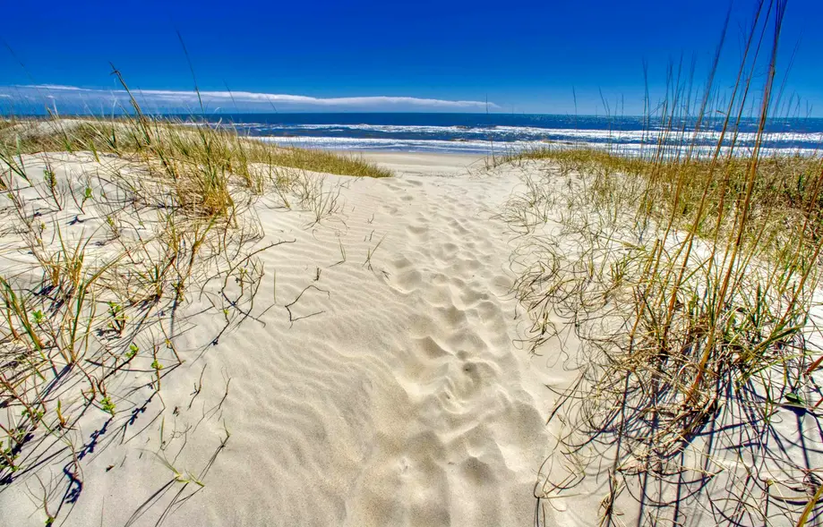 In Spite of Our Shells 959