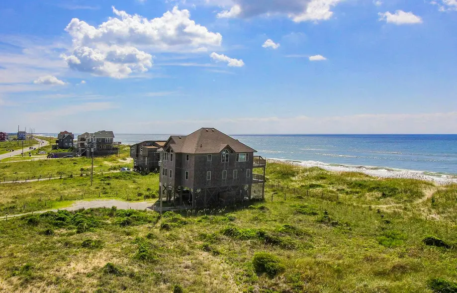 Whale Watch  #302DS-H