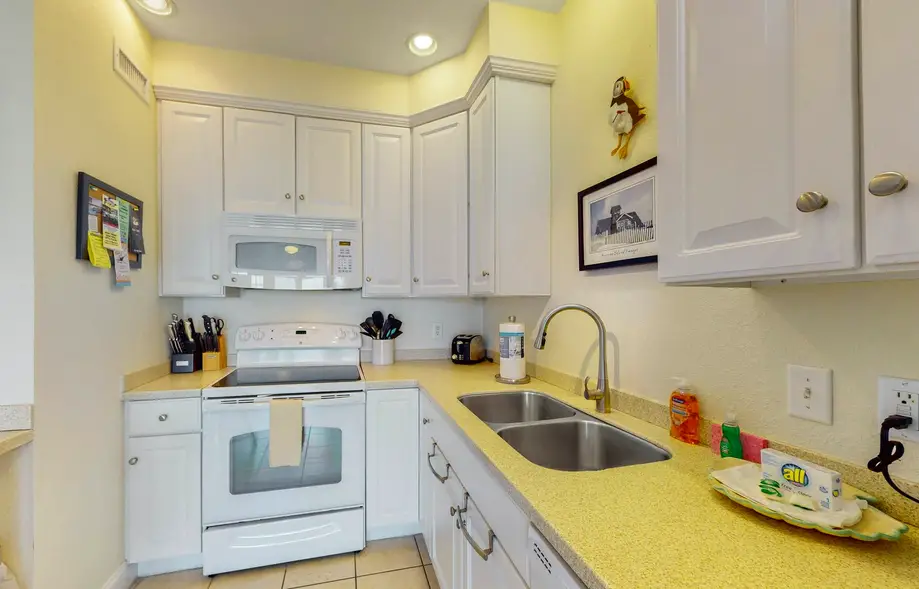 Whale Watch  #302DS-H