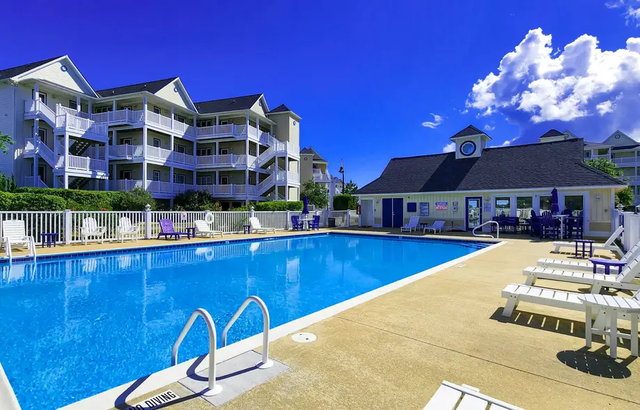 For The Shell of It  #D3SC-H