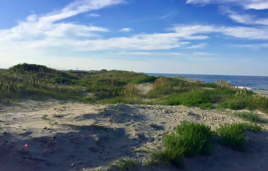 About Time 833 #107DS-H