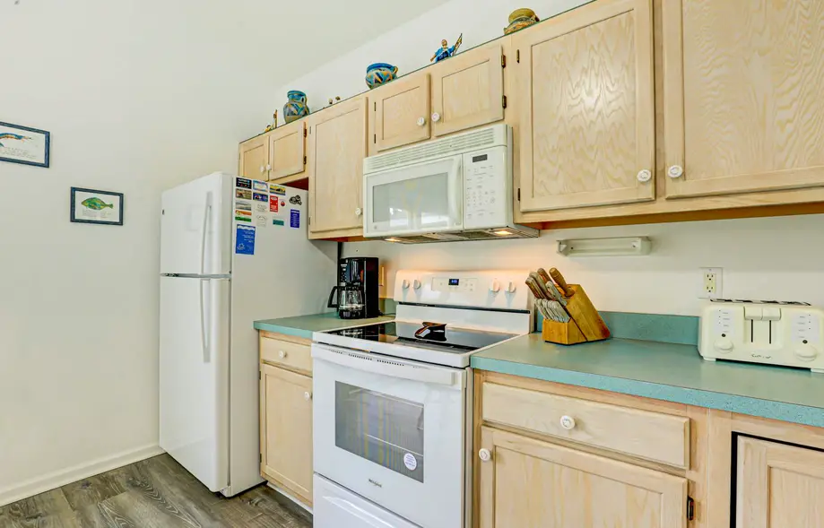 Our Dream Came True AV926