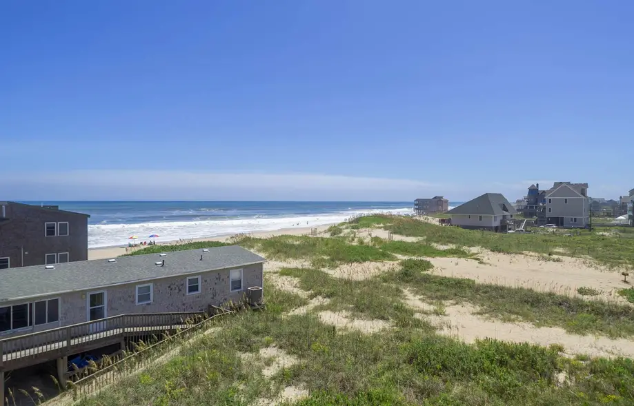 The Knotty Whale 120