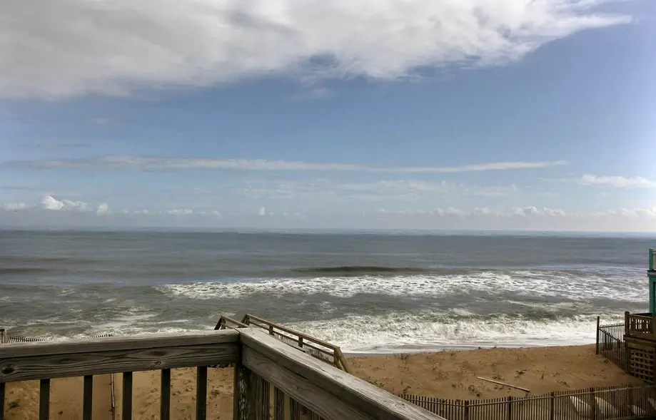 Fishin' Friendzy   #41-B