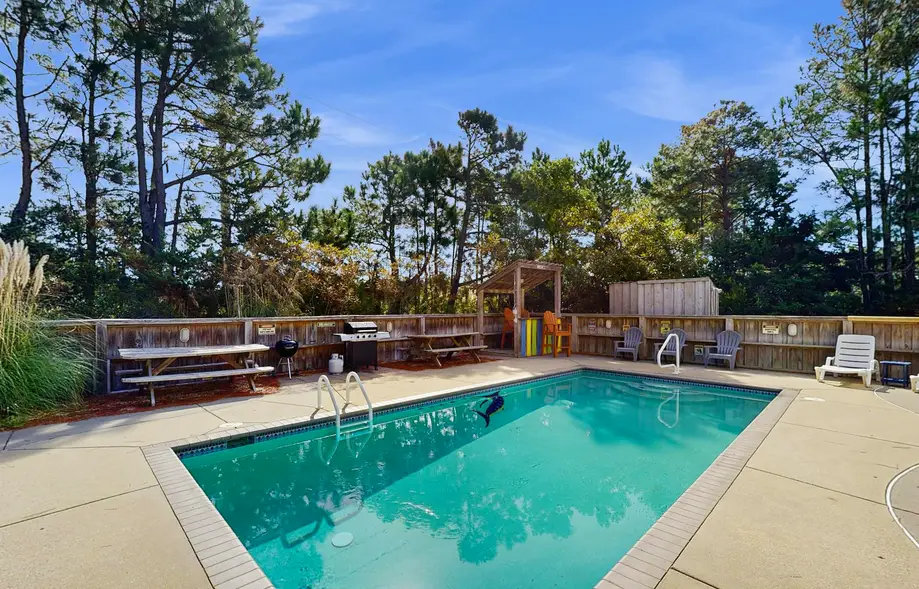 The Seagull's French Fry