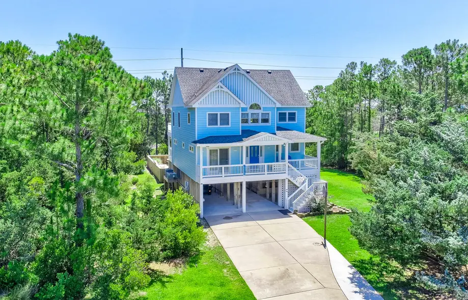 The Seagull's French Fry