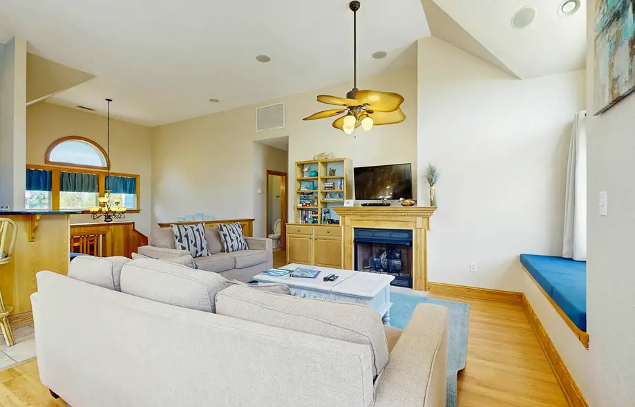 The Seagull's French Fry