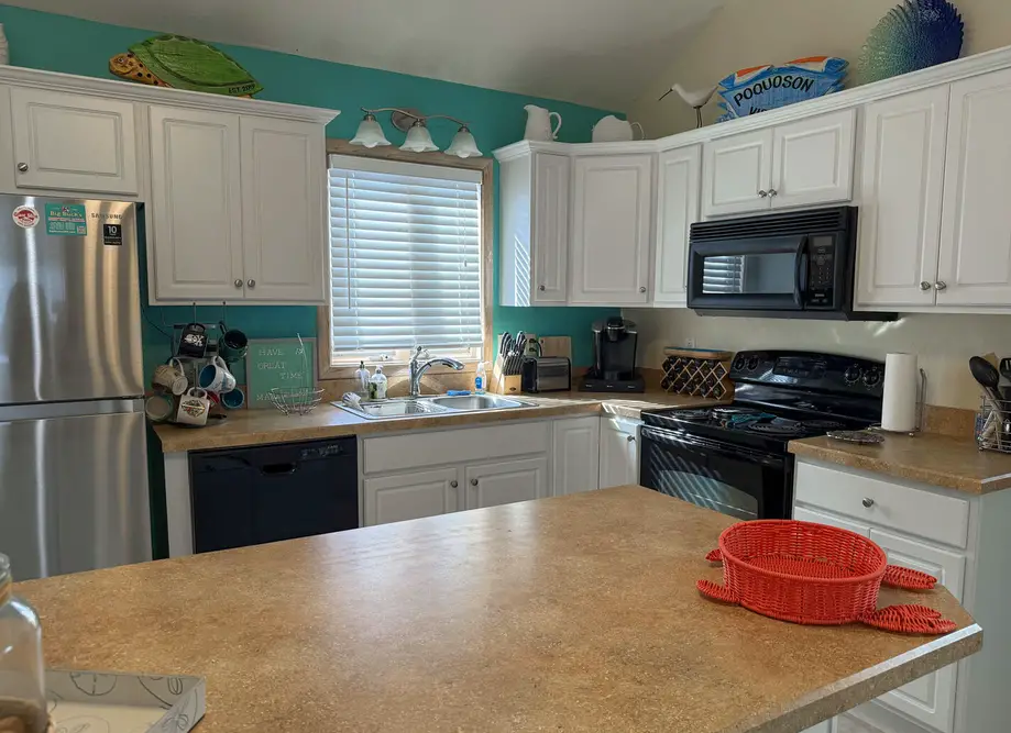 1708 - Islander Gulls