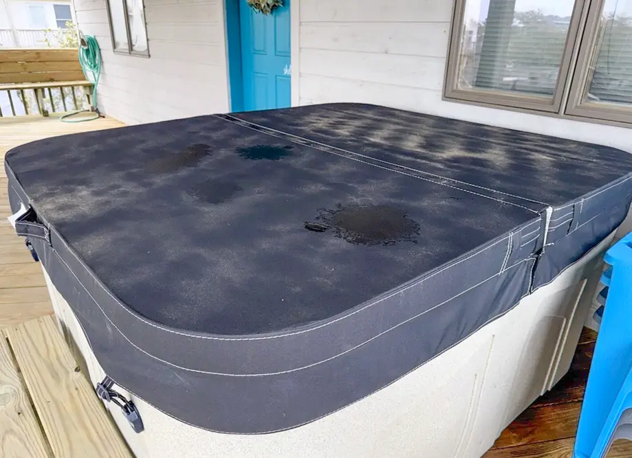 1708 - Islander Gulls