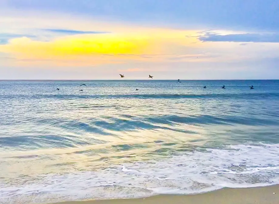 Beach Please (Formerly