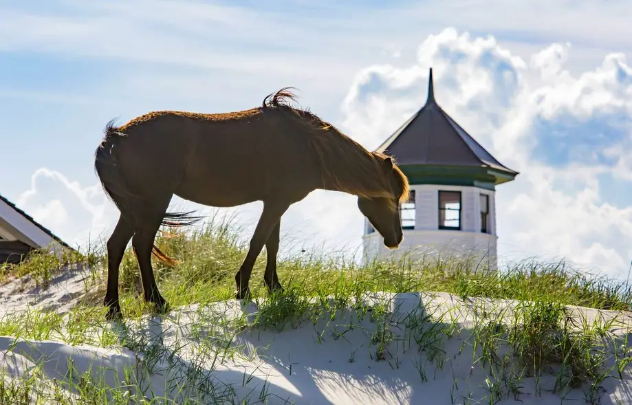 Beach Please (Formerly