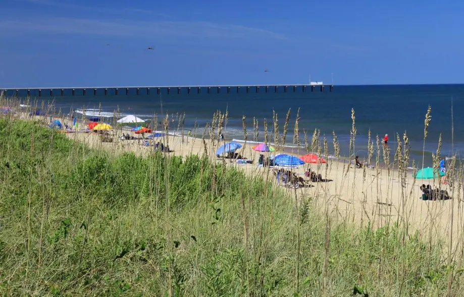 K9070 Duckin' Out at Colony by the Sea