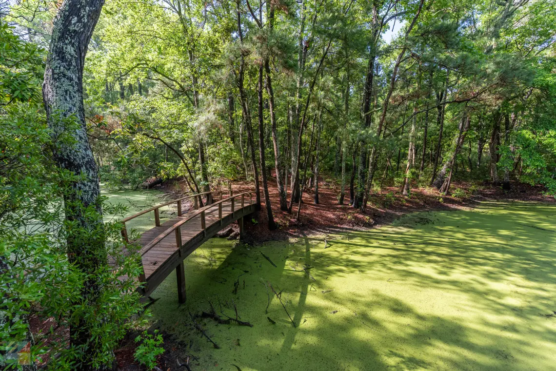 Nags Head Woods Preserve