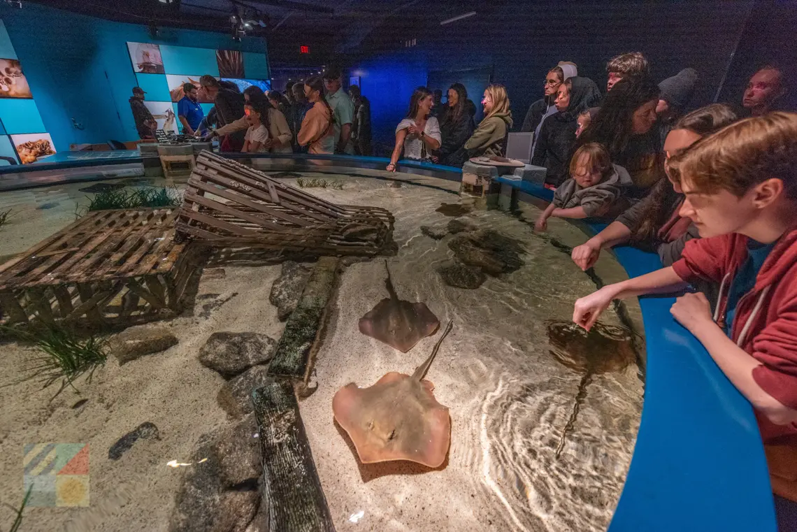 NC Aquarium Roanoke Island