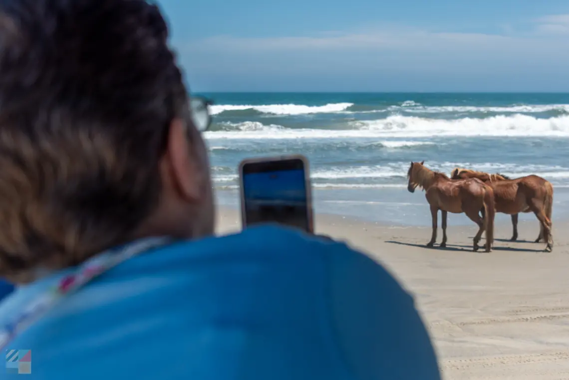 Corolla Wild Horse Tour